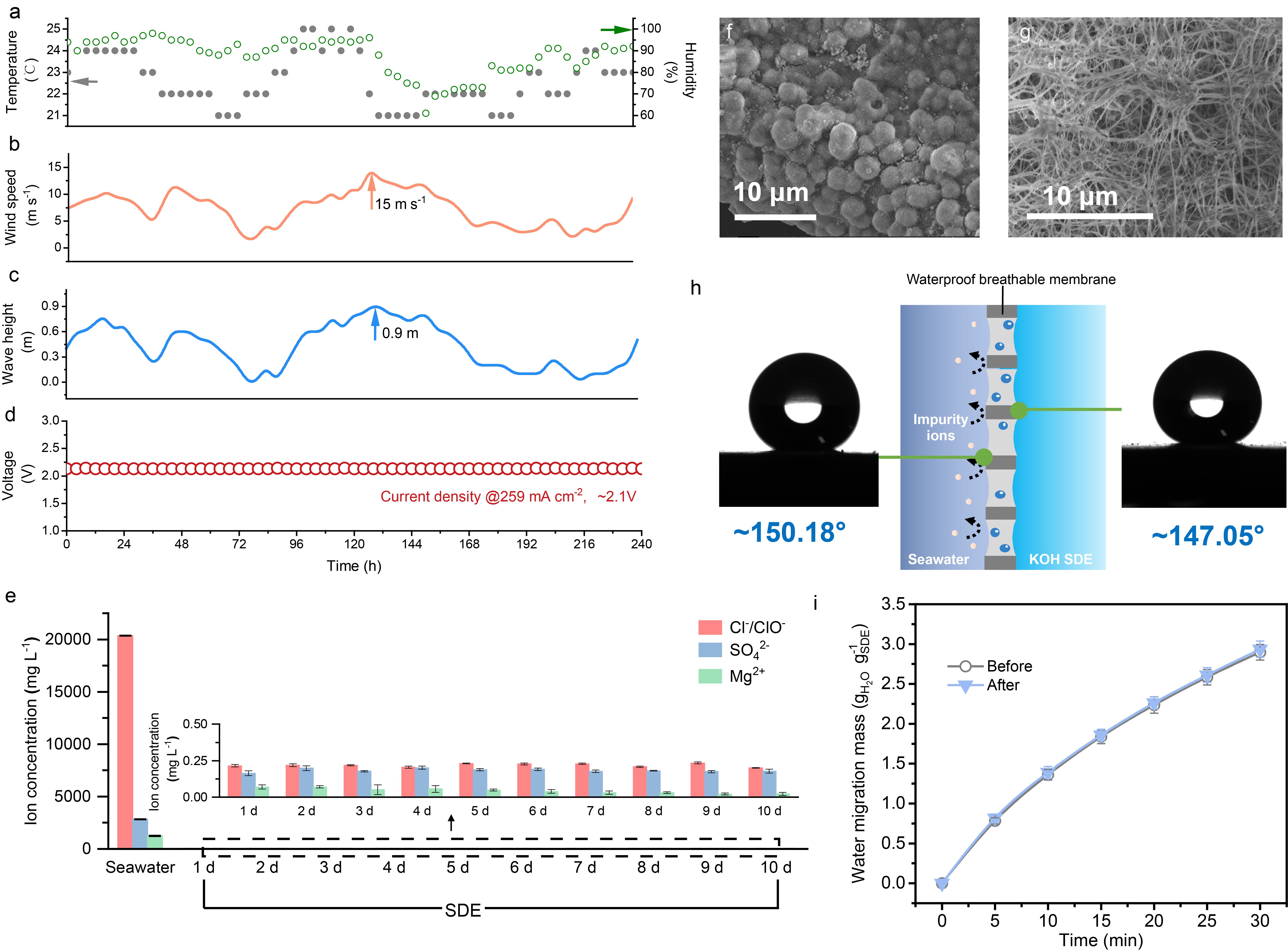 AG百家家乐·(中国区)官方网站