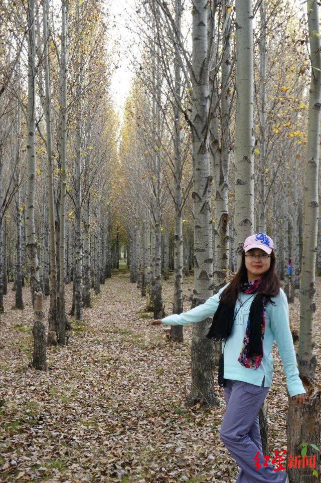 ��ɶ�����δ�� | �ɶ���������ҵ��Ȧǿ���˲����롱��ѡ�߶��ȣ�12���ᴺ��ͬ���ǡ�����