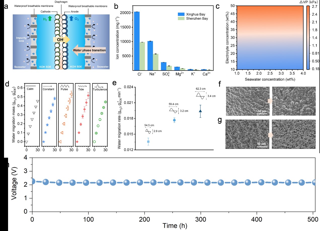 AG百家家乐·(中国区)官方网站