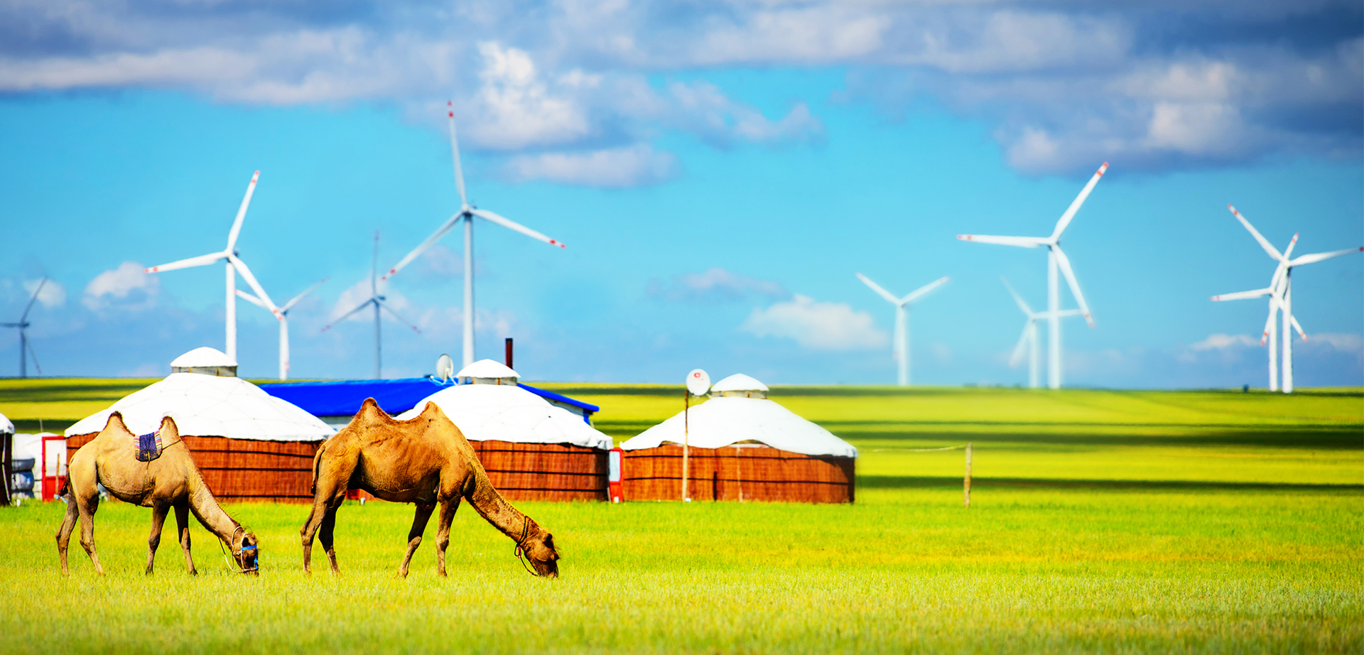 AG�ټҼ��֡�(�й���)�ٷ���վ